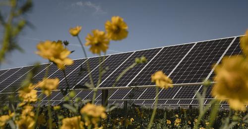 KCEC & Guzman Ribbon Cutting Ceremony celebrating 100% Daytime Solar ...